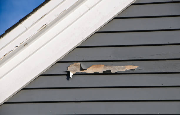 Best Residential Vinyl Siding Installation  in Midway South, TX